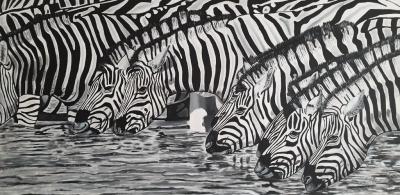 Zebras am Wasser.jpg